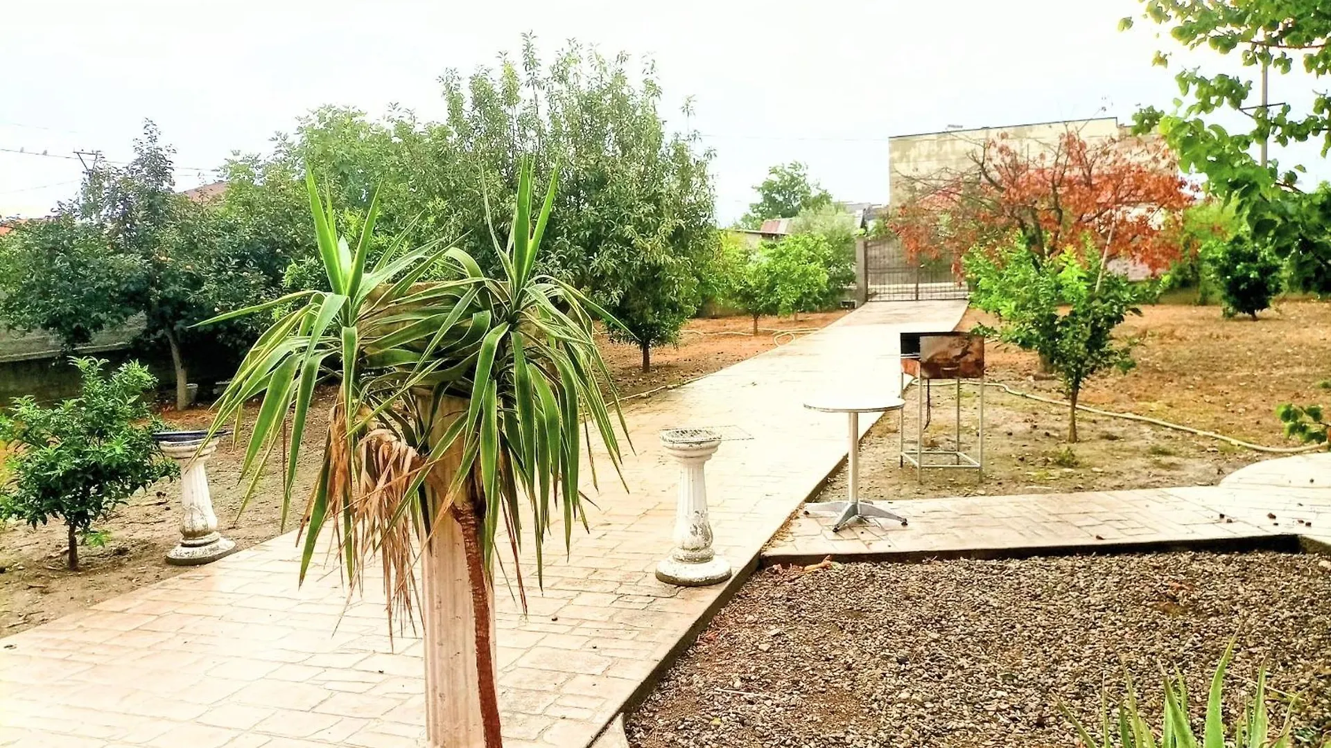 Villas Elona Best View Xhafzotaj