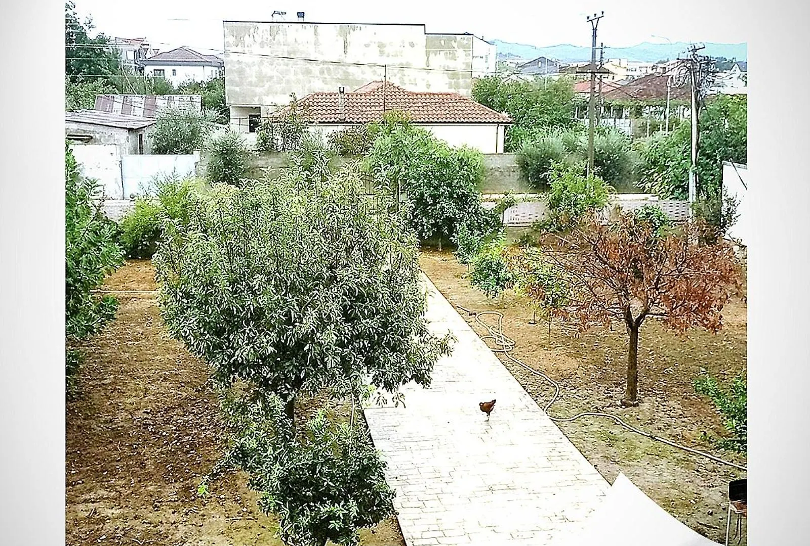 Villas Maria For Rent Feeling Home Xhafzotaj