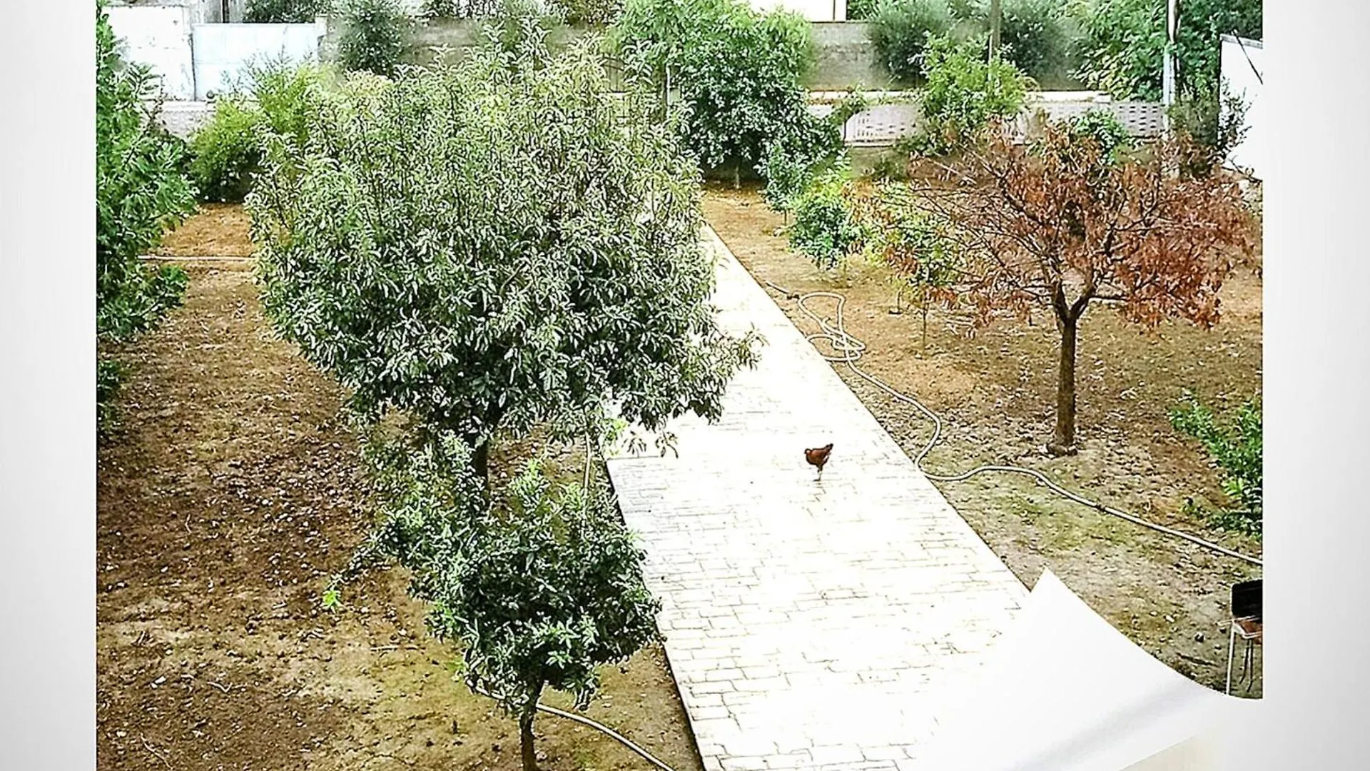 Villas Elona Best View Xhafzotaj